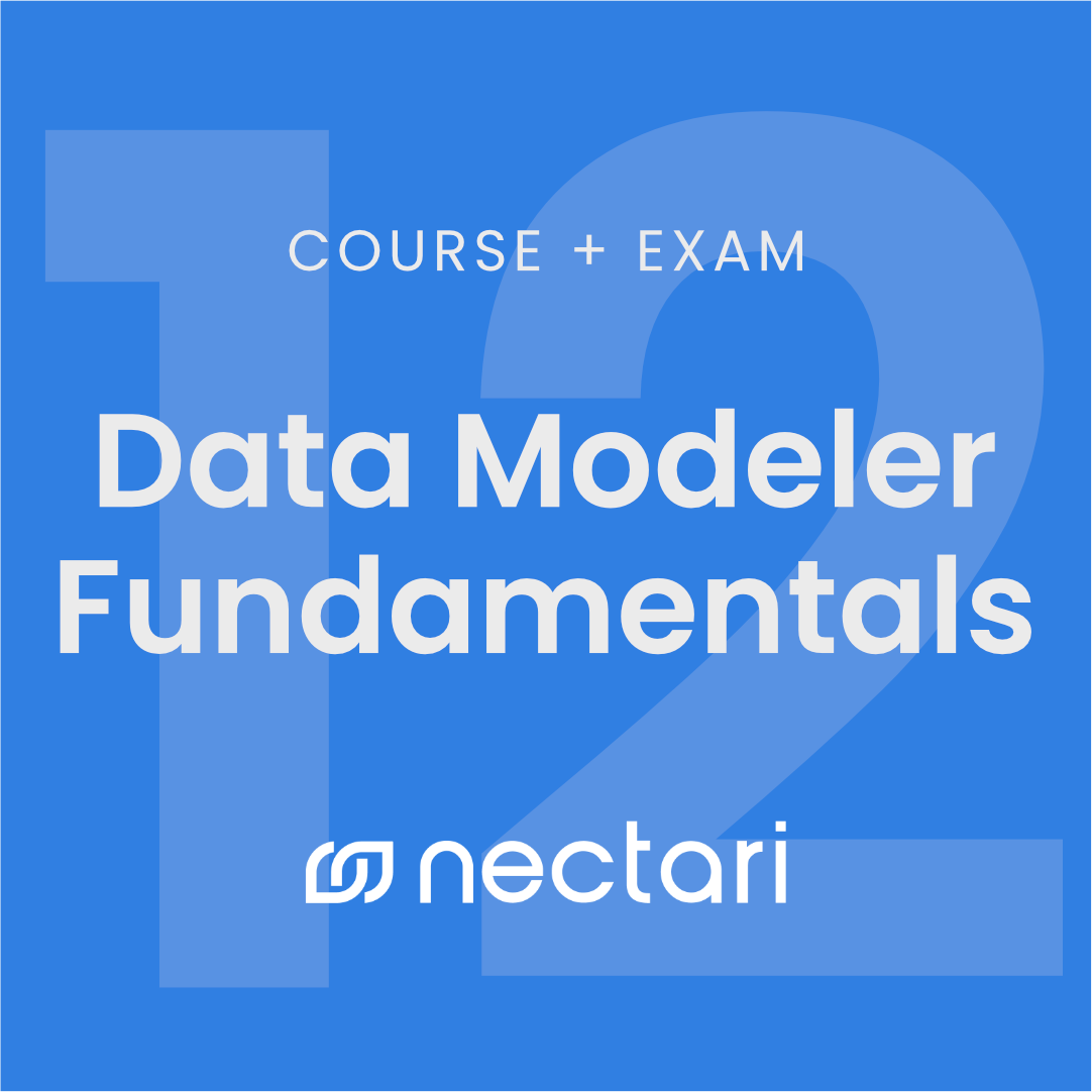 Data Modeler Fundamentals Course - 12 Months