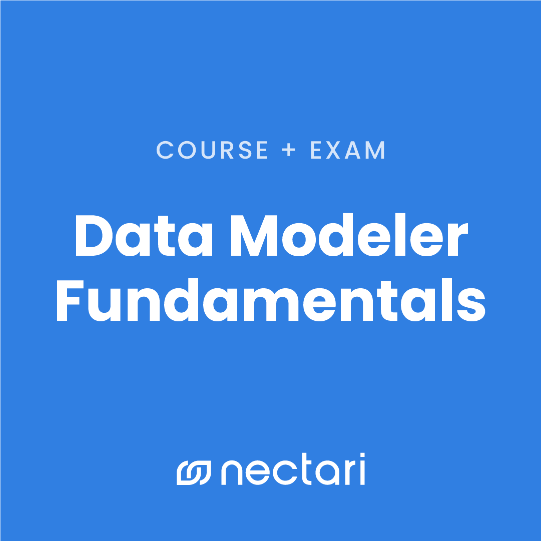 Data Modeler Fundamentals Course - 12 Months